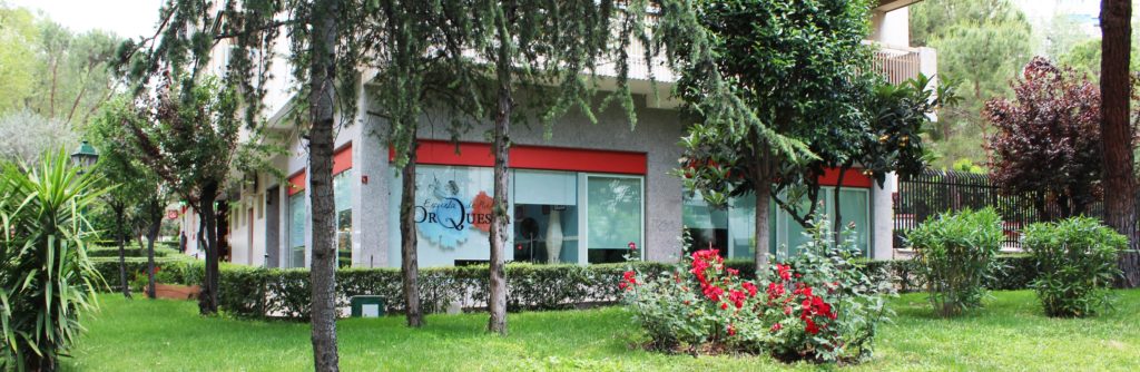 Cierre temporal de la Escuela, pero con clases online